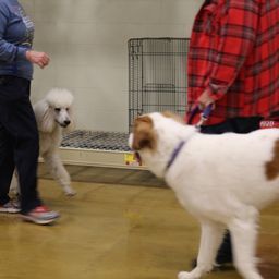 photograph by PeterW